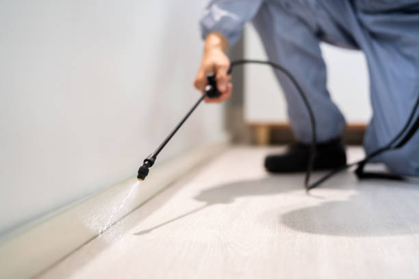 Wildlife Control Services in Grand Rapids, MI