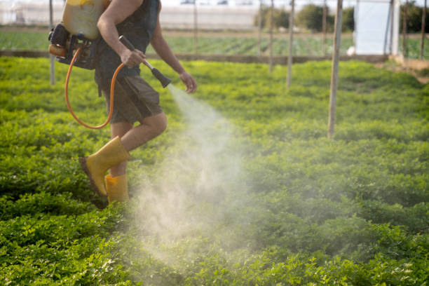 Best Commercial Pest Control Services  in Grand Rapids, MI