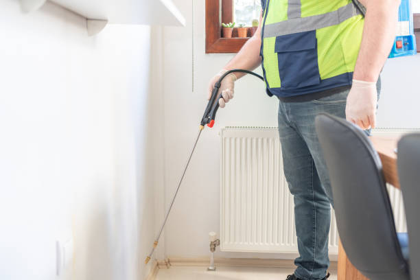 Wasp Removal Services in Grand Rapids, MI